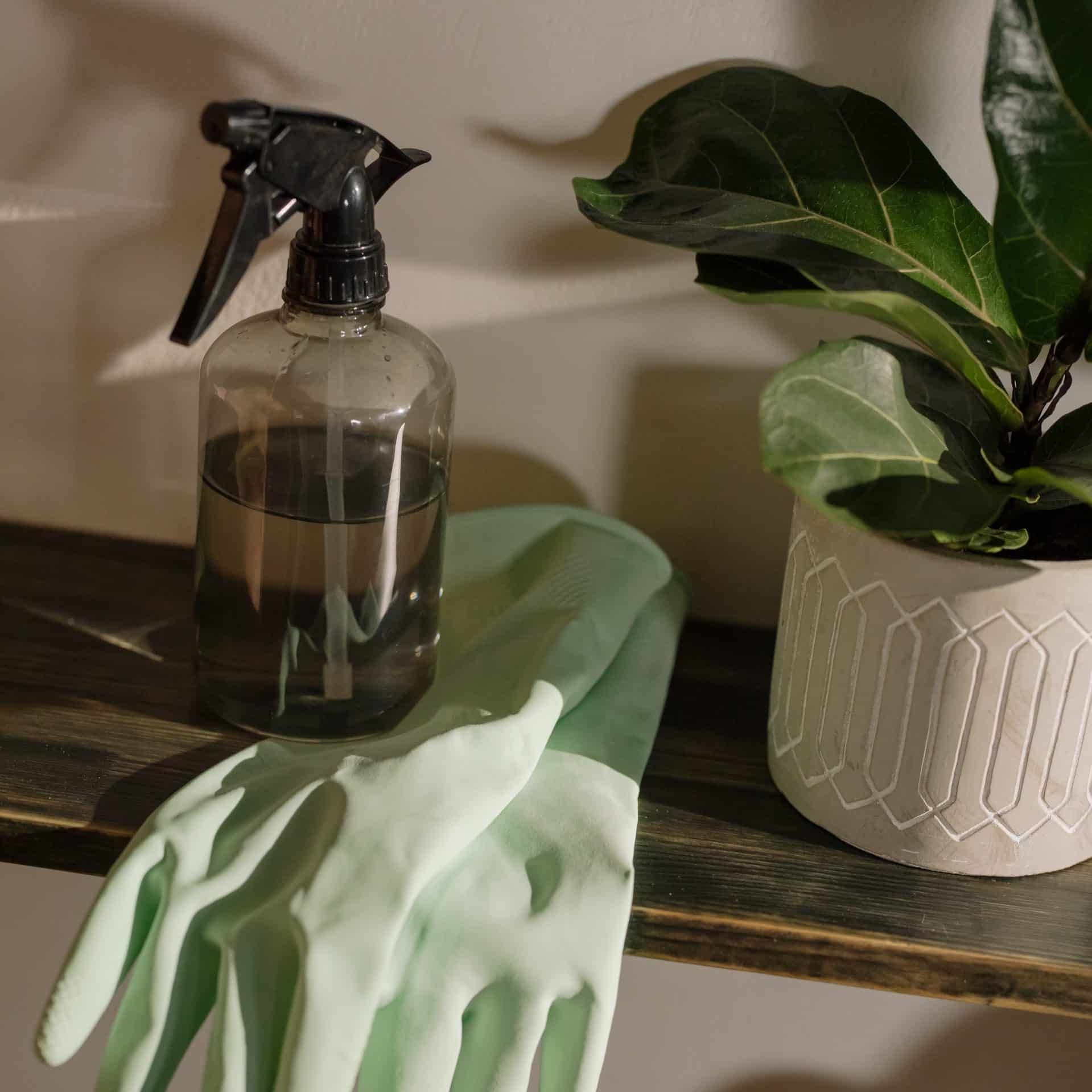 pexels-cottonbro-4107120 cleaning-articles